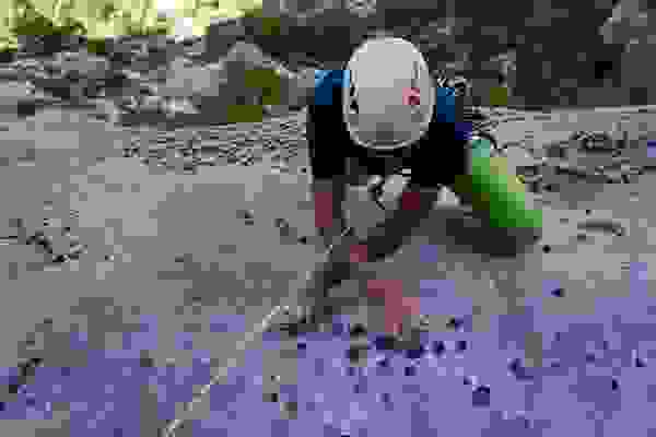 Verdon Klettertouren – Kletterschule YOYO