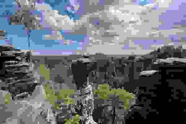 Elbsandstein