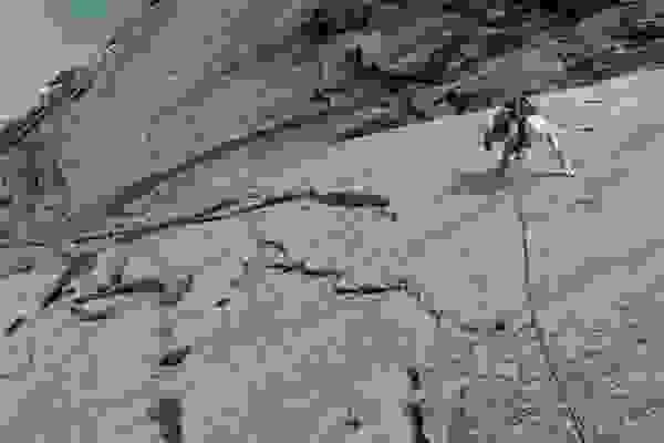 Meiringen Outdoor-Kletterkurse – Kletterschule YOYO