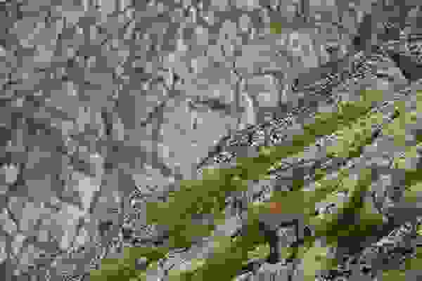 Furkapass Outdoor-Kletterkurse – Kletterschule YOYO