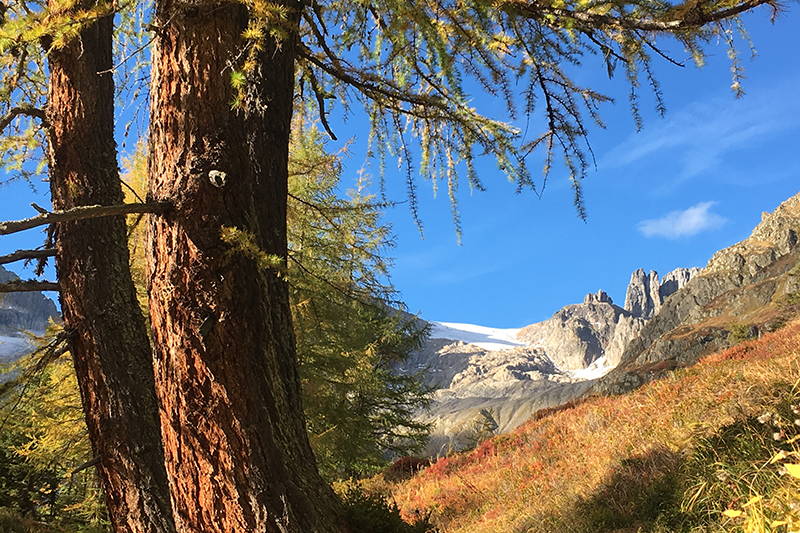 Sewenhütte