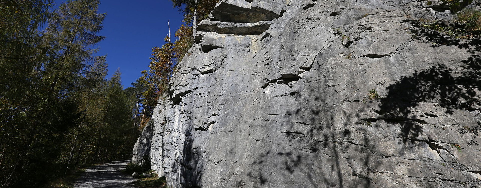 Meiringen Outdoor-Kletterkurse – Kletterschule YOYO