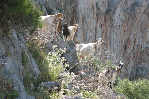 Sizilien Outdoor-Kletterkurse – Kletterschule YOYO
