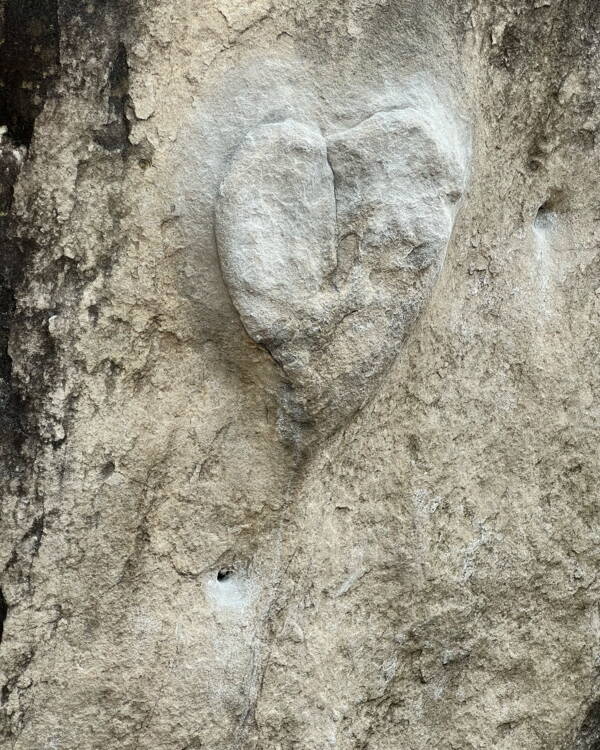 Fontainebleau Fontainebleau