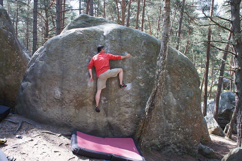 Fontainebleau