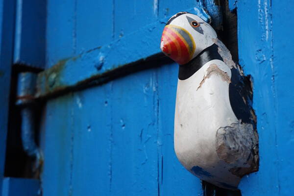 Clean Climbing Kurse Lofoten – Kletterschule YOYO Clean Climbing Kurse Lofoten – Kletterschule YOYO