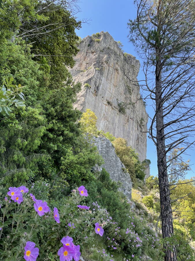 Sardinien/Ulassai Outdoor-Kletterkurse – Kletterschule YOYO Sardinien/Ulassai Outdoor-Kletterkurse – Kletterschule YOYO