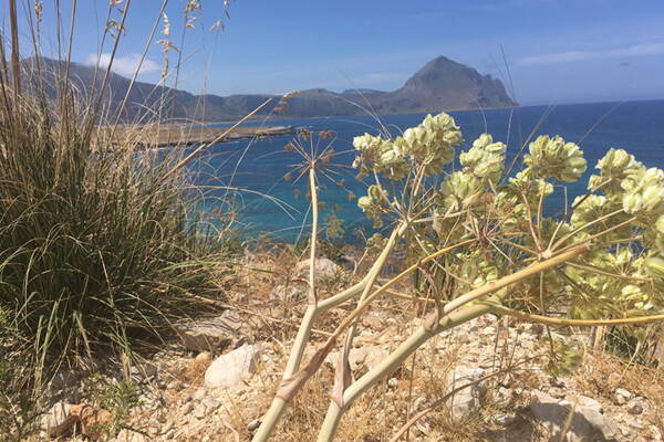 Sizilien Outdoor-Kletterkurse – Kletterschule YOYO