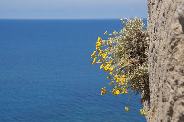 Sizilien Outdoor-Kletterkurse – Kletterschule YOYO