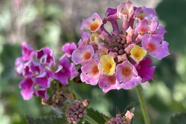 Costa Blanca Outdoor-Kletterkurse – Kletterschule YOYO Costa Blanca Outdoor-Kletterkurse – Kletterschule YOYO