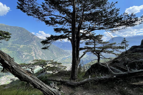 Dorenaz Outdoor-Kletterkurse – Kletterschule YOYO