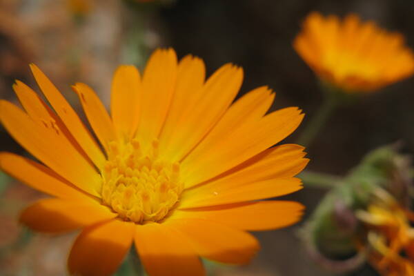 Sizilien Outdoor-Kletterkurse – Kletterschule YOYO