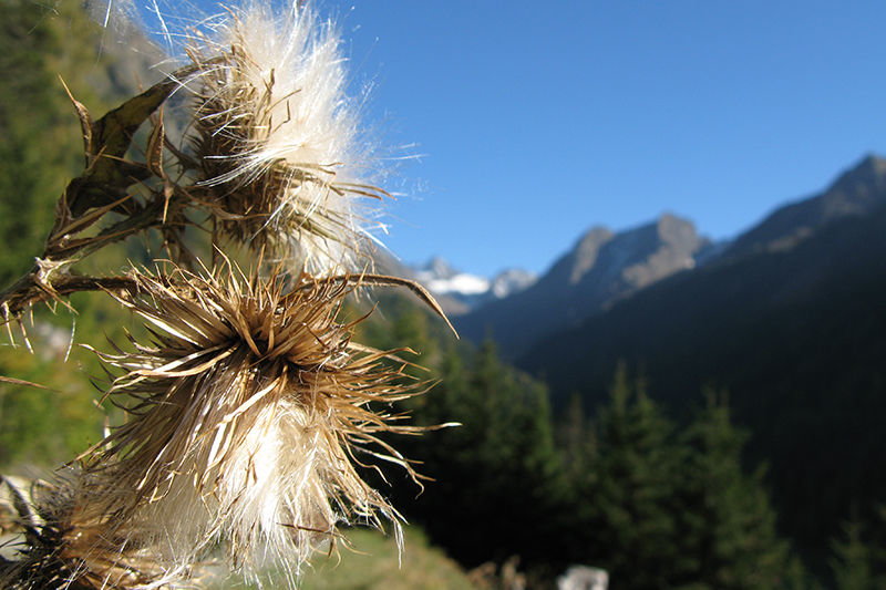 Ötztal