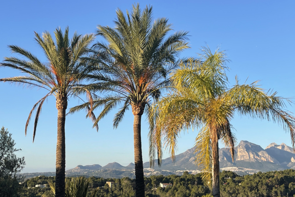 Costa Blanca Outdoor-Kletterkurse – Kletterschule YOYO Costa Blanca Outdoor-Kletterkurse – Kletterschule YOYO