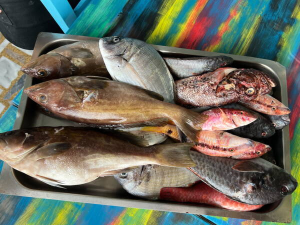 Kalymnos Outdoor-Kletterkurse – Kletterschule YOYO