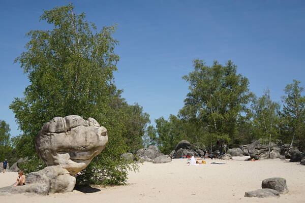 Fontainebleau