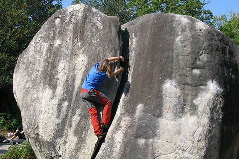 Fontainebleau