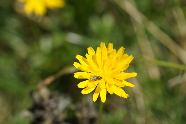 Furkapass Outdoor-Kletterkurse – Kletterschule YOYO