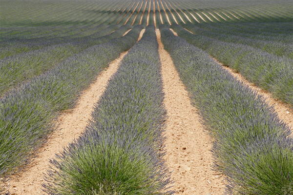 Verdon Klettertouren – Kletterschule YOYO