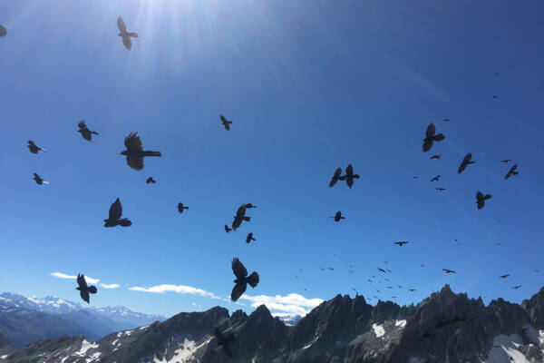 Furkapass Outdoor-Kletterkurse – Kletterschule YOYO