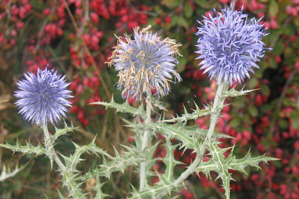 Val Durance Val Durance