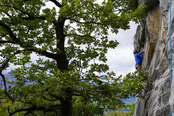 Unterwallis Unterwallis