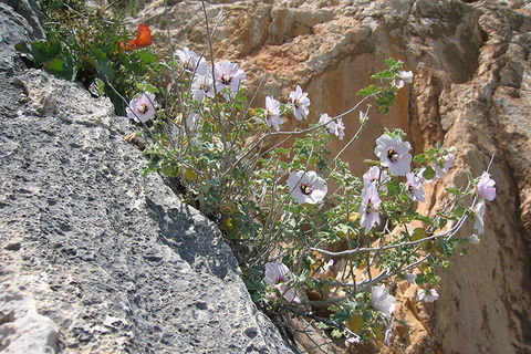 Sardinien