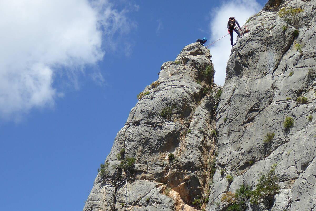 Sardinien Kinglines Sardinien Kinglines