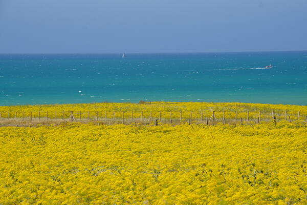 Sizilien Outdoor-Kletterkurse – Kletterschule YOYO