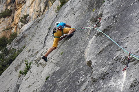 Verdon