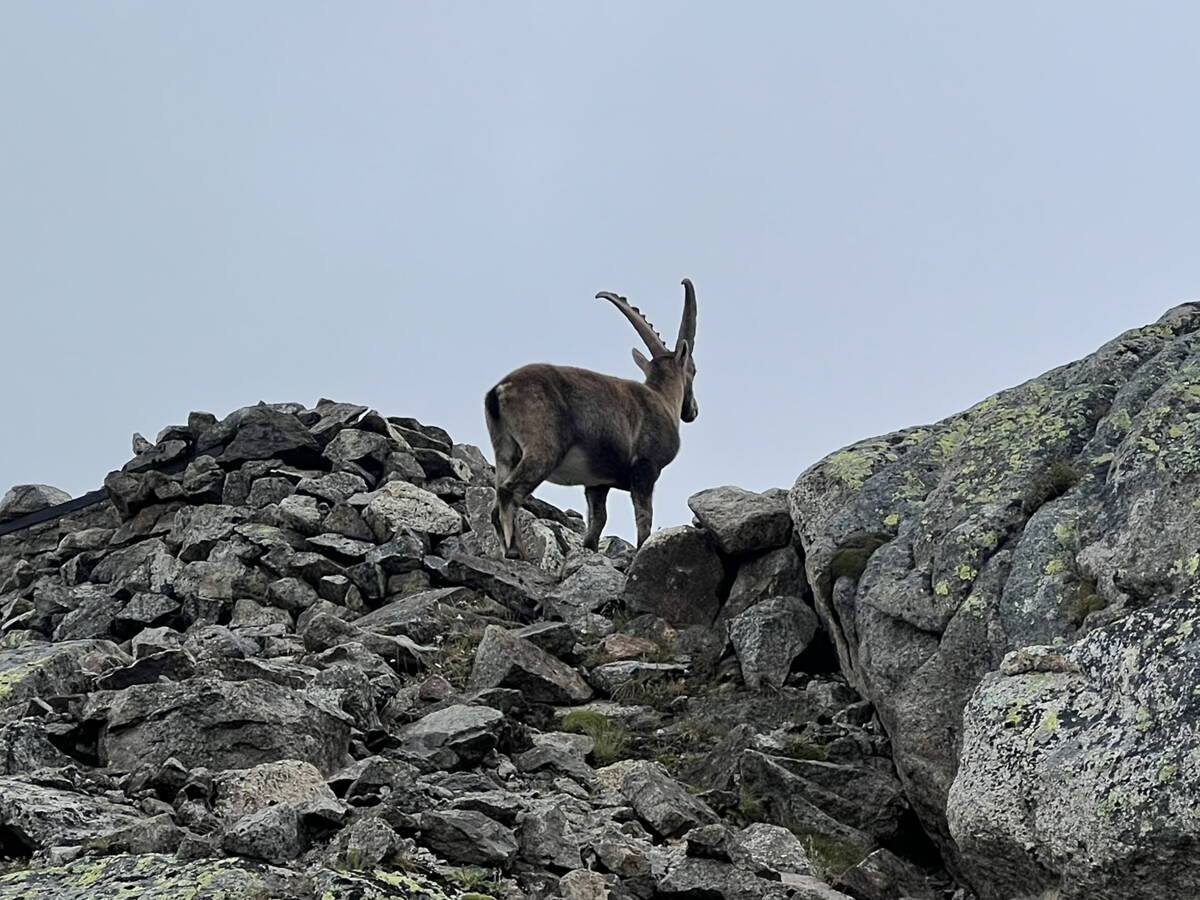 Furkapass Outdoor-Kletterkurse – Kletterschule YOYO