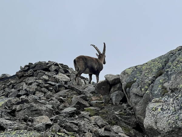 Furkapass Outdoor-Kletterkurse – Kletterschule YOYO