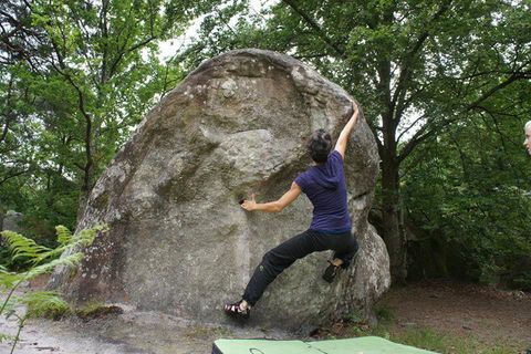 Fontainebleau